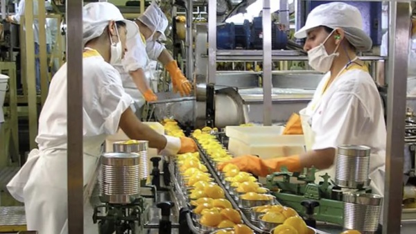 ARCA lanz&oacute; el nuevo blanqueo laboral: condonan hasta 90% de deuda a empleadores que registren trabajadores