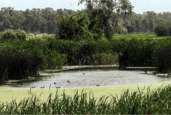 Pol&eacute;mica por la Laguna de Rocha: rechazan un proyecto que habilitar&iacute;a cambios en los l&iacute;mites de la Reserva Natural