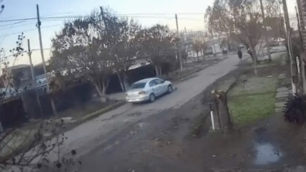 Atropell&oacute; a un perro en La Plata, escap&oacute; y ahora buscan identificarlo para denunciarlo