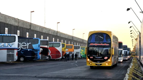 Habr&aacute; micros de larga distancia m&aacute;s antiguos en las rutas: qu&eacute; resolvi&oacute; el Gobierno