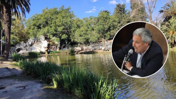 Buscan que La Plata gane dinero con los &aacute;rboles y ya presentaron un proyecto