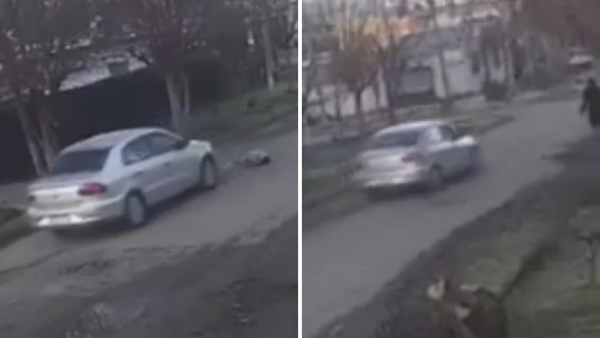 Las im&aacute;genes del brutal atropello al perro en La Plata que indignaron a los vecinos