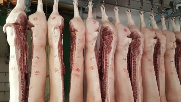 Investigan un posible brote de triquinosis en La Plata