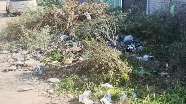 Basural a cielo abierto en una localidad de La Plata: denuncian ratas y una zanja tapada por la basura