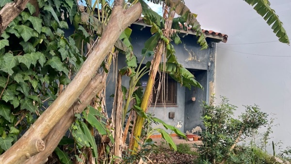 Macabro hallazgo en La Plata: entr&oacute; a usurpar una casa y descubri&oacute; un cadaver momificado
