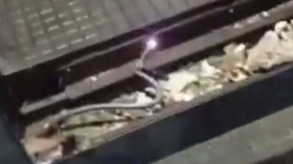 Peligro frente al Hospital San Mart&iacute;n: un vecino denunci&oacute; un cable pelado con electricidad en una parada de micros