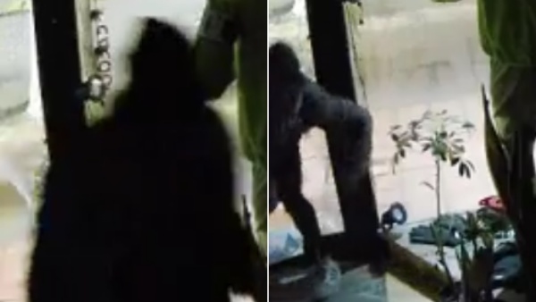 Entraron a robar a un local de City Bell y la investigaci&oacute;n tuvo un giro semanas despu&eacute;s