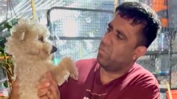 Encontraron un caniche dentro de una bolsa de basura en La Plata y lograron rescatarlo a metros de una escuela