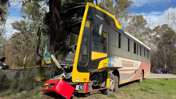 Impactante choque entre un micro de la l&iacute;nea 202 y un auto en Berisso: al menos 23 heridos y un amplio operativo