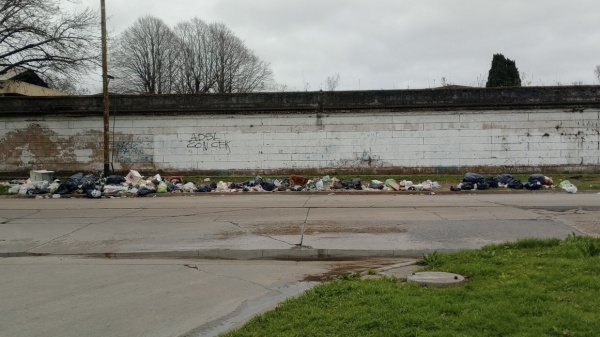 Basura acumulada frente al Cementerio de La Plata: vecinos apuntaron contra la falta de limpieza