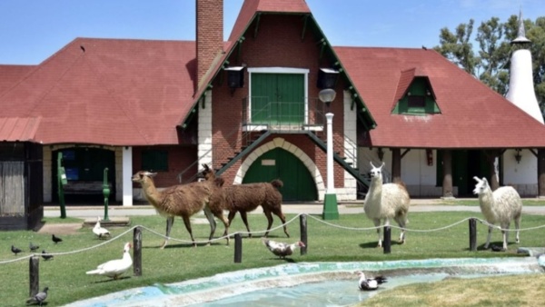 Vecinos y proteccionistas exigen respuestas por el regreso de animales a la Rep&uacute;blica de los Ni&ntilde;os