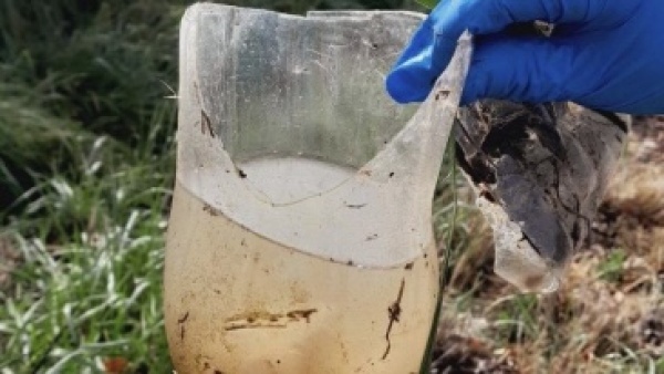 Dengue: Provincia lanz&oacute; una campa&ntilde;a especial y pidi&oacute; tomar medidas antes y despu&eacute;s de las lluvias