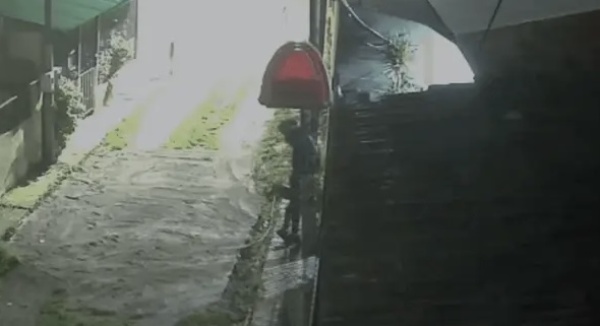 Entraron a robar a una casa de La Plata y se llevaron hasta la cucha de los gatos