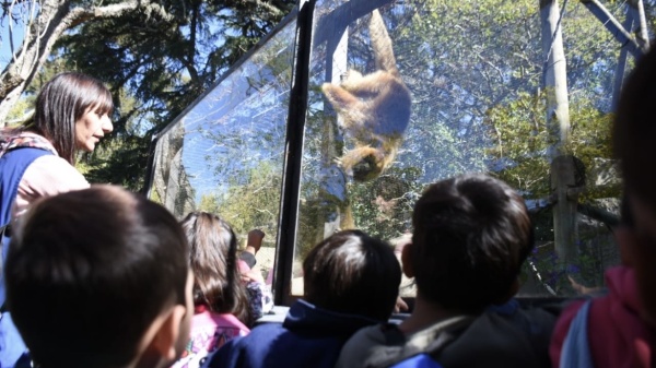 Buscan reabrir el Bioparque de La Plata y sumar gesti&oacute;n privada