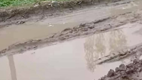 Una calle de Gonnet parece un pantano, los vecinos est&aacute;n hartos y apuntan contra el delegado municipal