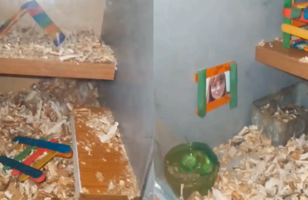 “Te estoy vigilando”: el insólito adorno que puso una joven en la “casita” de su pequeña mascota