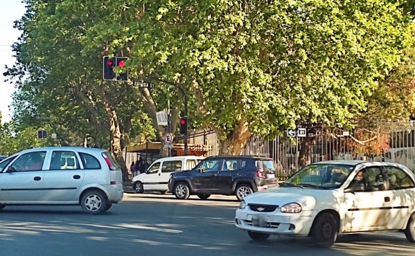 En 1 y 51, un vecino exigió que corten las ramas que tapan el semáforo