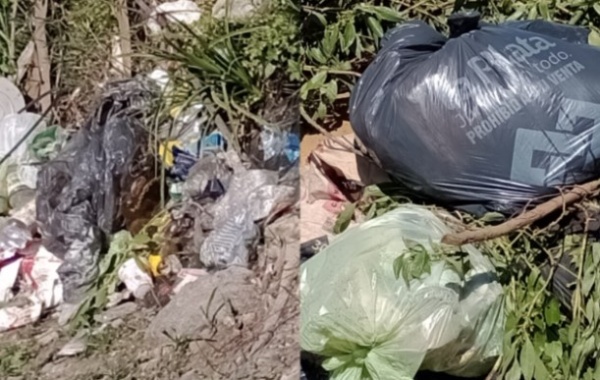 “No respetan nada”: una vecina de Los Hornos enfurecida por la basura que se acumula en la vereda de su casa