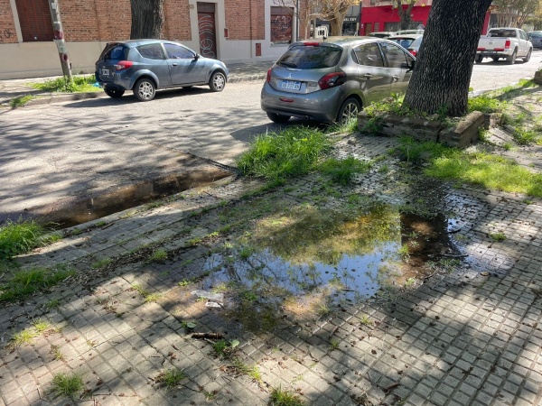 Vecinos en calle 17 y 41 denuncian una pérdida de agua que ocupa toda la vereda