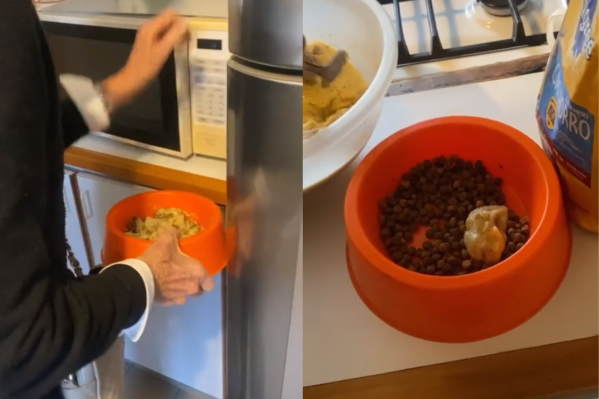 “El más malcriado”: una mujer hizo una preparación muy especial para su amado perro y su nieta filmó el proceso