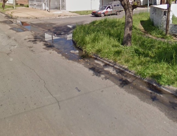 Una vecina exigió que corten el pasto en la esquina de 141 bis y 64: “Está tapando la vereda”