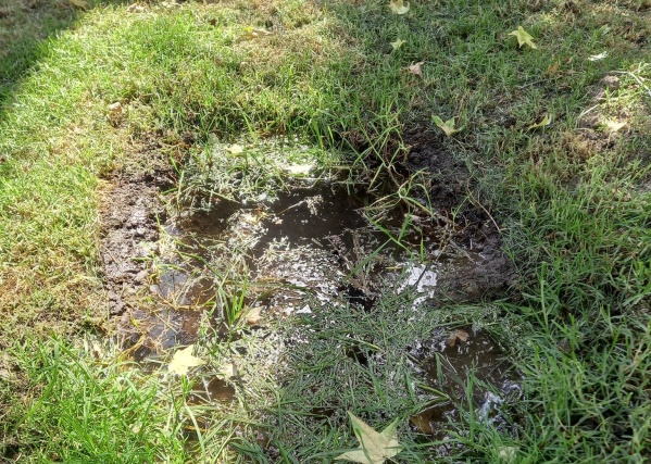 Un frentista de Los Hornos menciona que tiene una "laguna" justo en frente de su casa y pide una solución