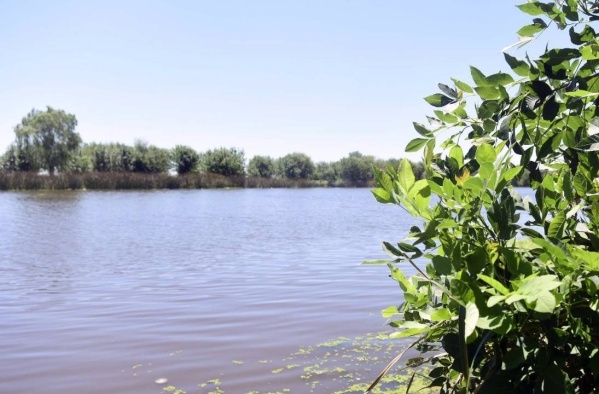 Insólito hallazgo de vecinos mientras limpiaban en el arroyo El Pescado