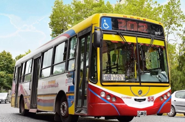 Un nuevo paro nacional de colectivos de corta y media distancia afectará a La Plata este viernes