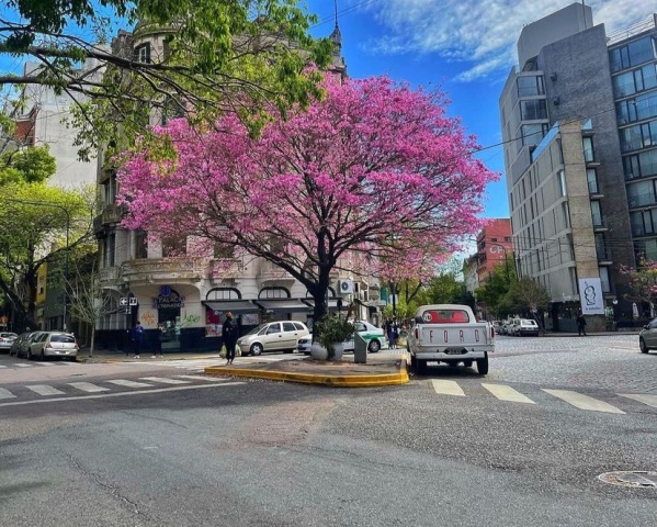 Un joven visitó la ciudad, hizo una picante descripción y armó un gran debate con muchos platenses: “Es lo mejor que tiene”