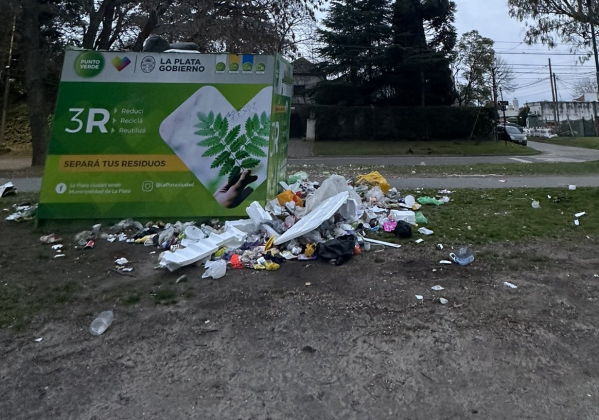“Es vergonzoso e insalubre”: las quejas de un vecino por la basura acumulada alrededor de un contenedor