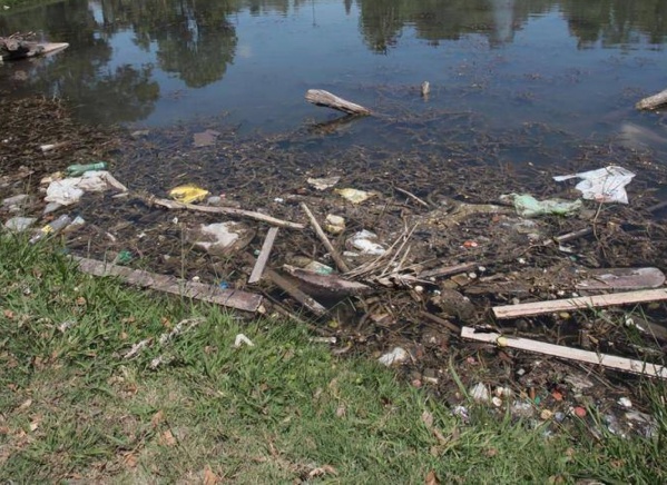 Parque Saavedra: vecinos piden la limpieza del lago