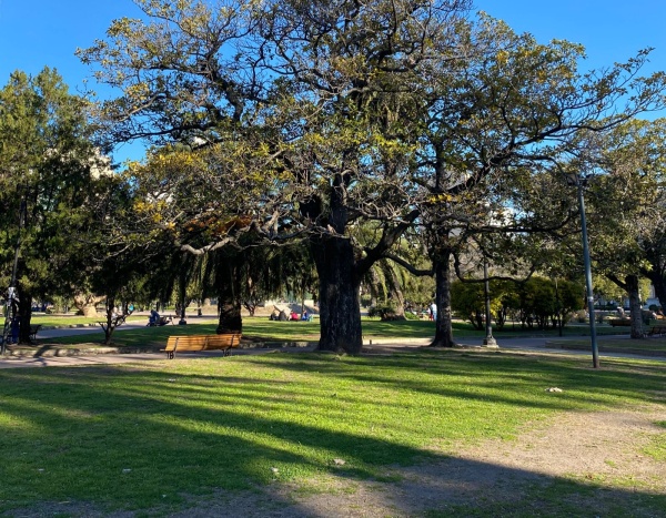 Una platense estaba en una plaza, vio pasar una moto dos veces y terminó sorprendida por lo que le dijeron: "Soy pollo"