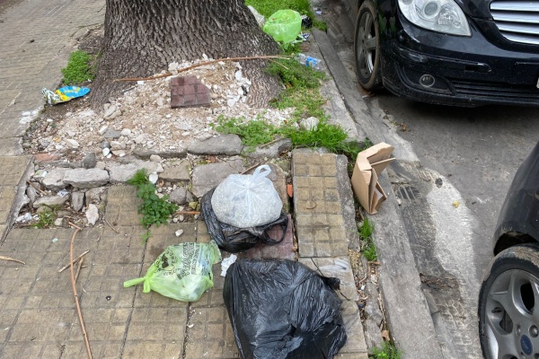 En 45 y diagonal 75, los vecinos se quejan por la falta de limpieza