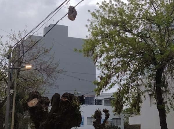 Vecinos reclamaron por un tronco que cuelga de un cable en la vía pública: "Puede causar mucho daño"