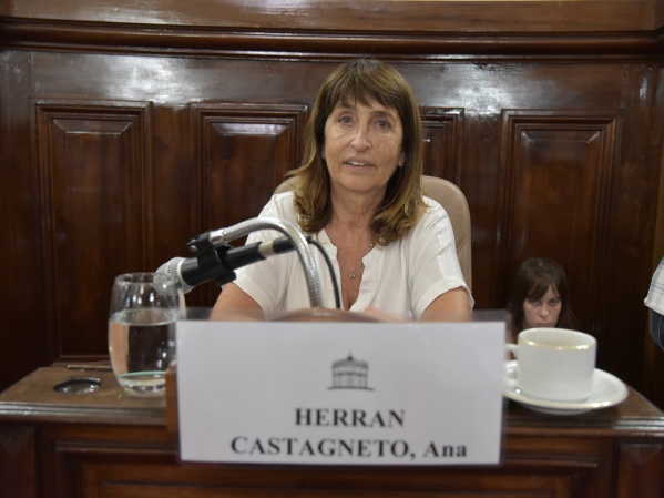 Ana Castagneto tuvo un furcio y “la gente de Garro” salió a operarla