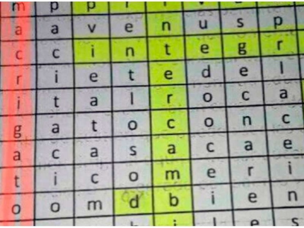 Esc&aacute;ndalo: un profesor le dio a sus alumnos un crucigrama donde dice "Macri gato"