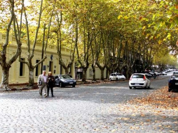 En stand by: por ahora no se quitar&aacute;n los adoquines de la ciudad