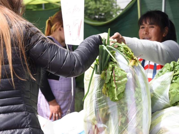 Productores venderán verdura a bajo precio en Villa Elisa y San Carlos