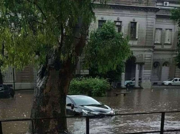 Tras el temporal del sábado, así amaneció el acceso principal del Hospital de Niños de La Plata