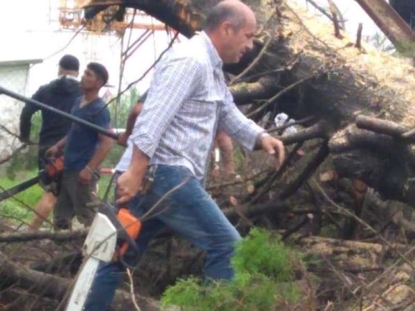 El intendente de Ensenada agarró la motosierra y salió a cortar los árboles junto con los empleados municipales