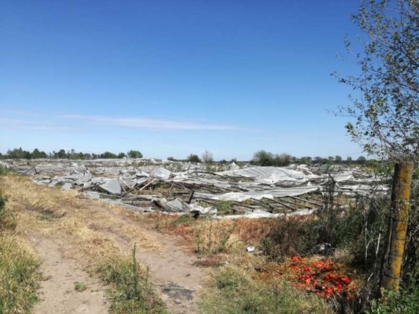 Denuncian que el temporal causó destrozos totales en el cordón frutihortícola de La Plata