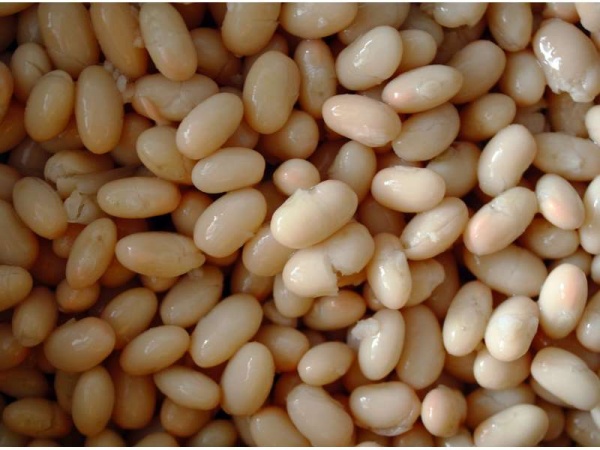 ¿Por qué los porotos provocan gases?