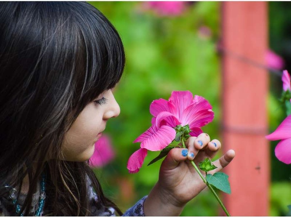 Un estudio confirma que las plantas tienen sentimientos