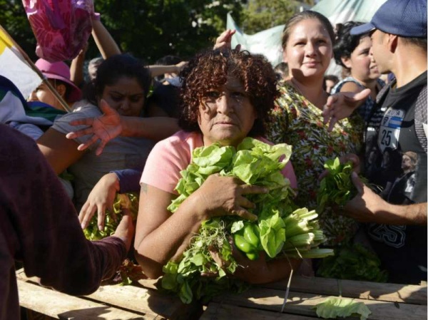 Venderán bolsones de verdura en cuatro puntos de La Plata a precios insuperables