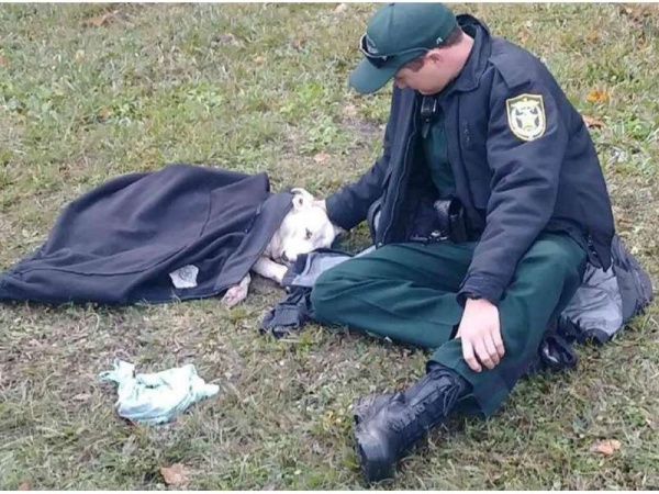 Este polic&iacute;a abrig&oacute; con su campera a una perra atropellada