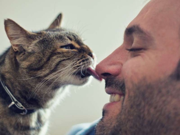 Según la ciencia, el gato es el reflejo de su dueño