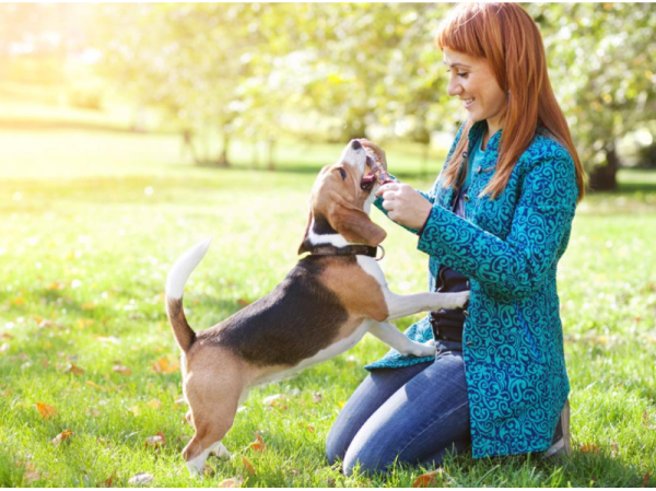 Un estudio revela que los perros detectan el cáncer de pulmón con un 97% de precisión