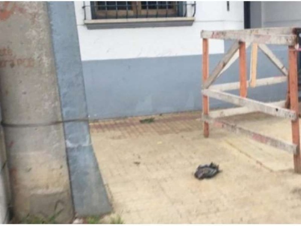 Por una paloma, todo un barrio de La Plata se qued&oacute; sin luz