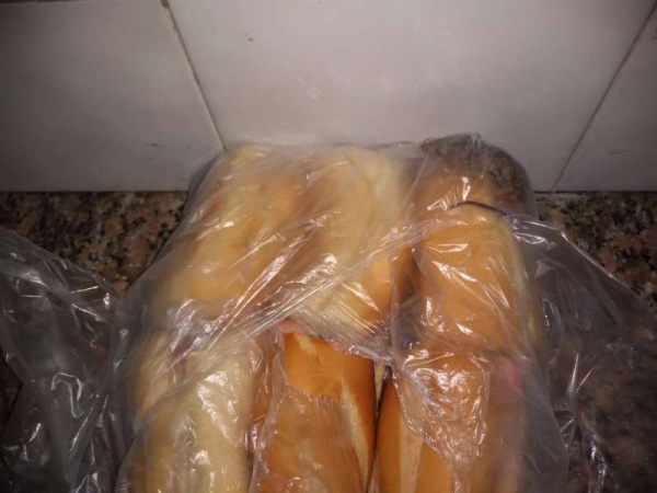 Hallaron roedores en una escuela de Berisso y suspendieron las clases