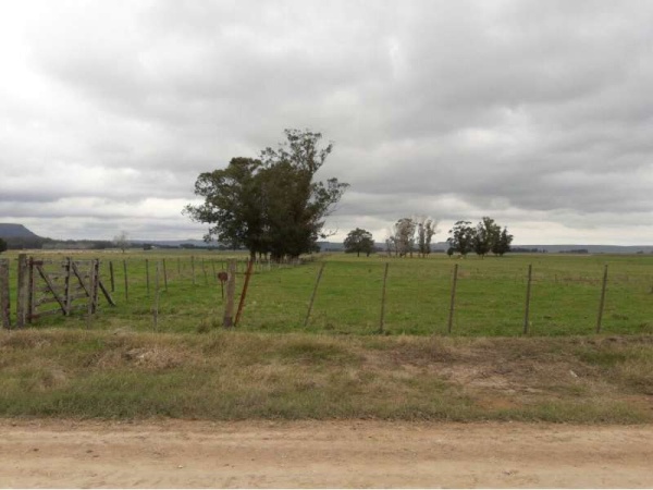 Tragedia: Muri&oacute; un trabajador aplastado por un cami&oacute;n cerca de Mar del Plata